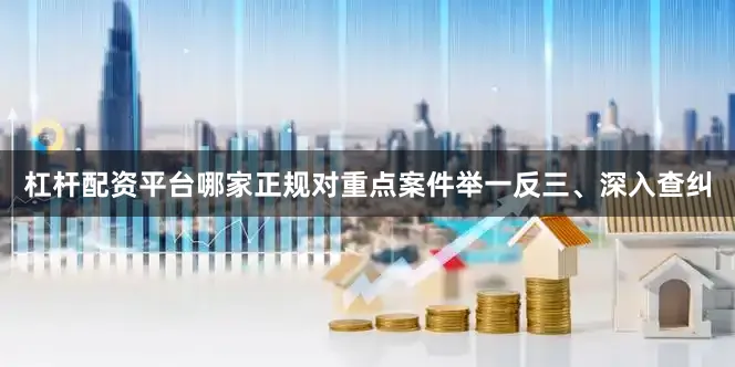 杠杆配资平台哪家正规对重点案件举一反三、深入查纠