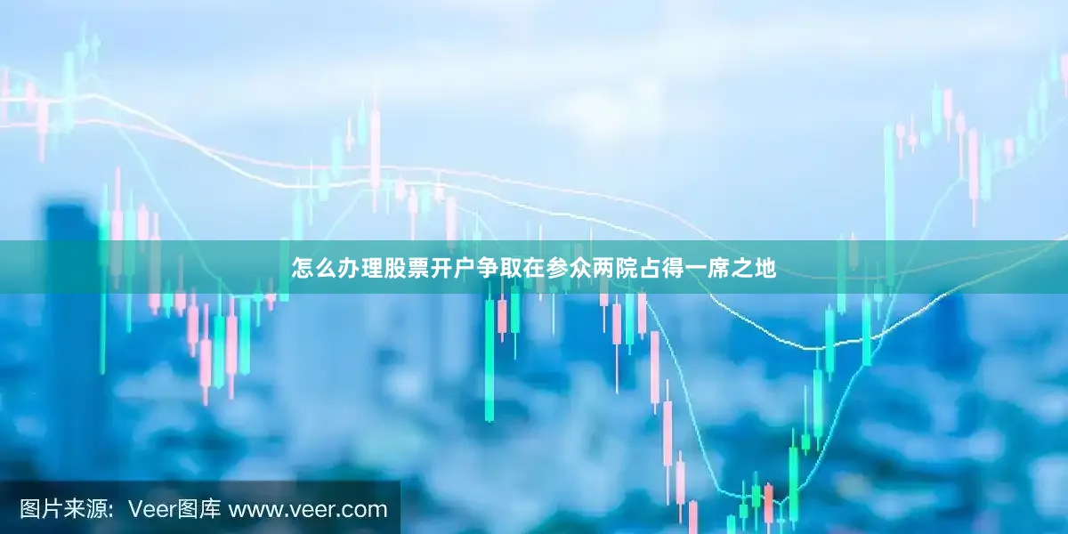 怎么办理股票开户争取在参众两院占得一席之地