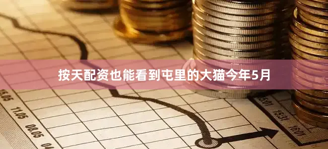按天配资也能看到屯里的大猫今年5月